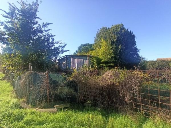 immagine annuncio 3 di 8