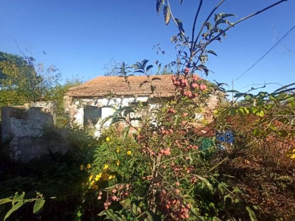 immagine annuncio 2 di 8