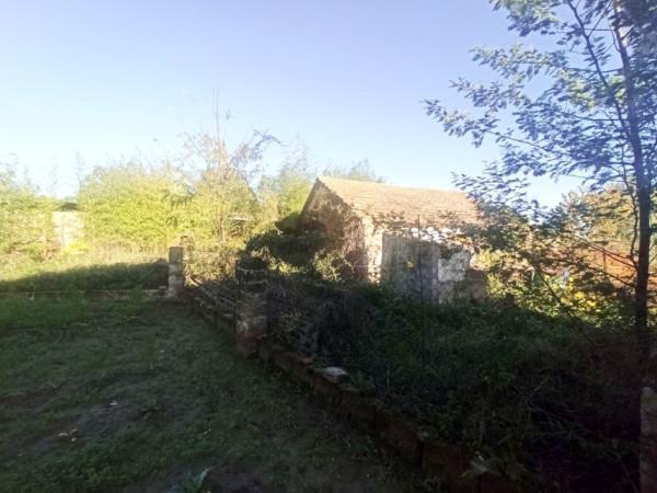 immagine annuncio 5 di 8