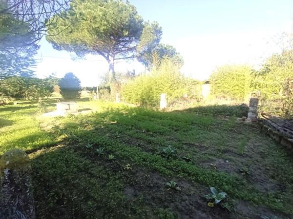 immagine annuncio 6 di 8