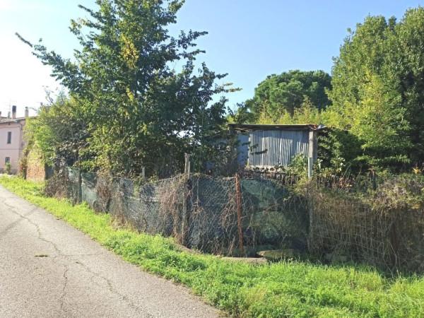 immagine annuncio 7 di 8