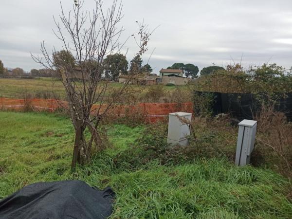 immagine annuncio 5 di 12