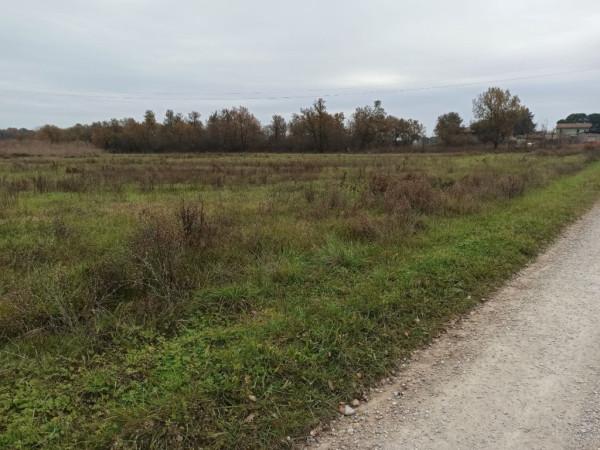 immagine annuncio 7 di 12