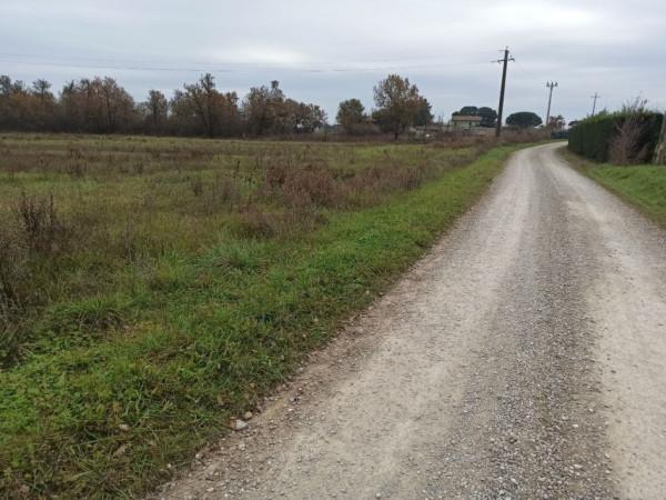 immagine annuncio 10 di 12