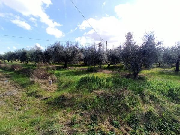 immagine annuncio 1 di 9