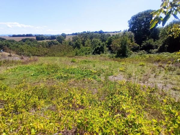 immagine annuncio 3 di 7