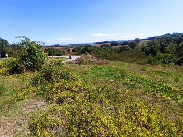 immagine annuncio 4 di 7