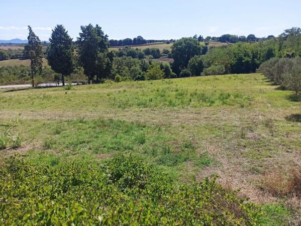 immagine annuncio 5 di 7