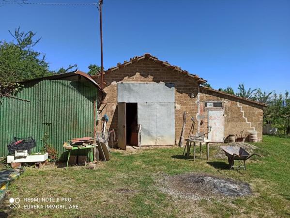 immagine annuncio 7 di 8