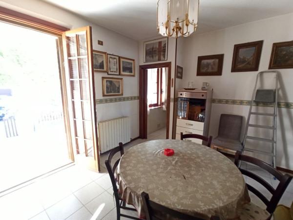 immagine annuncio 5 di 12