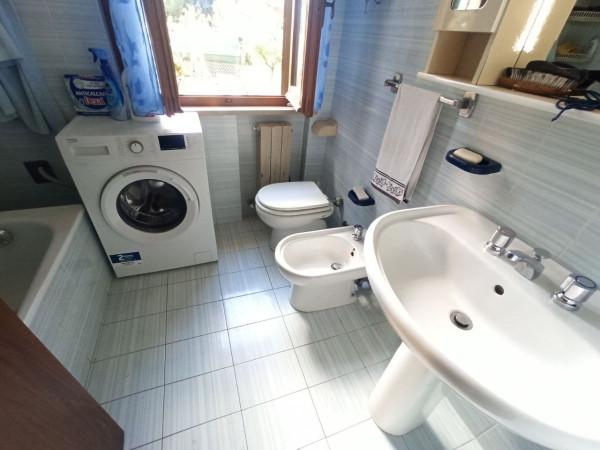 immagine annuncio 9 di 12