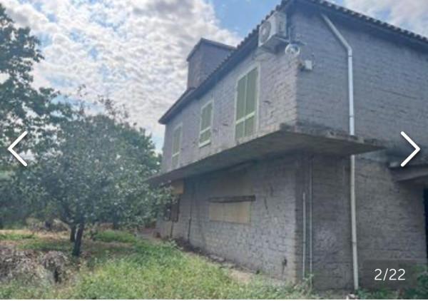 immagine annuncio 6 di 8