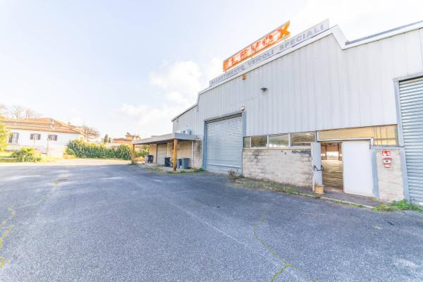 Negozio in Via Nettunense, Ariccia, {3} - Foto 1