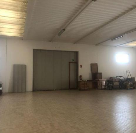 Capannone in , Colle Umberto, {3} - Foto 2