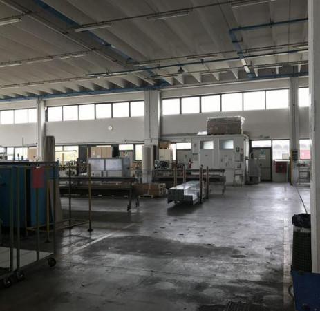 Capannone in , Susegana, {3} - Foto 1