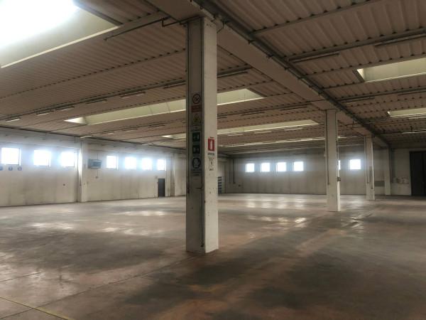 Capannone in Via Italia, Conegliano, {3} - Foto 1
