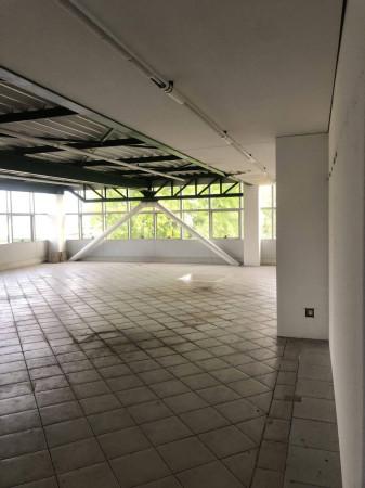 Negozio in , Susegana, {3} - Foto 1