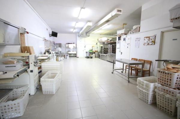 Panificio in Via Ferrante Ferranti 4, San Severino Marche, {3} - Foto 1