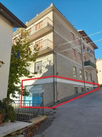 Negozio in Via Gabriele Galantara, Montelupone, {3} - Foto 1