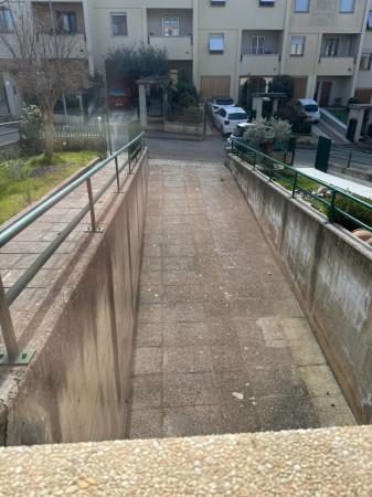 immagine annuncio 6 di 15