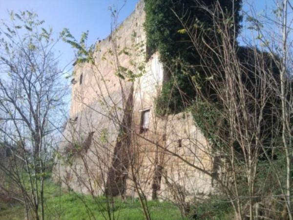 Negozio in Strada Vicinale Fellino, Roccarainola, {3} - Foto 2