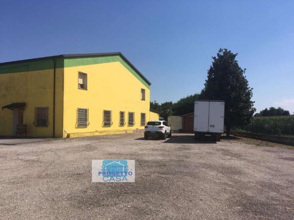 Capannone in , Serravalle A Po, {3} - Foto 1