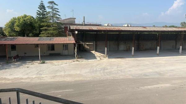 Capannone in Vittorio Veneto Snc, Marigliano, {3} - Foto 1
