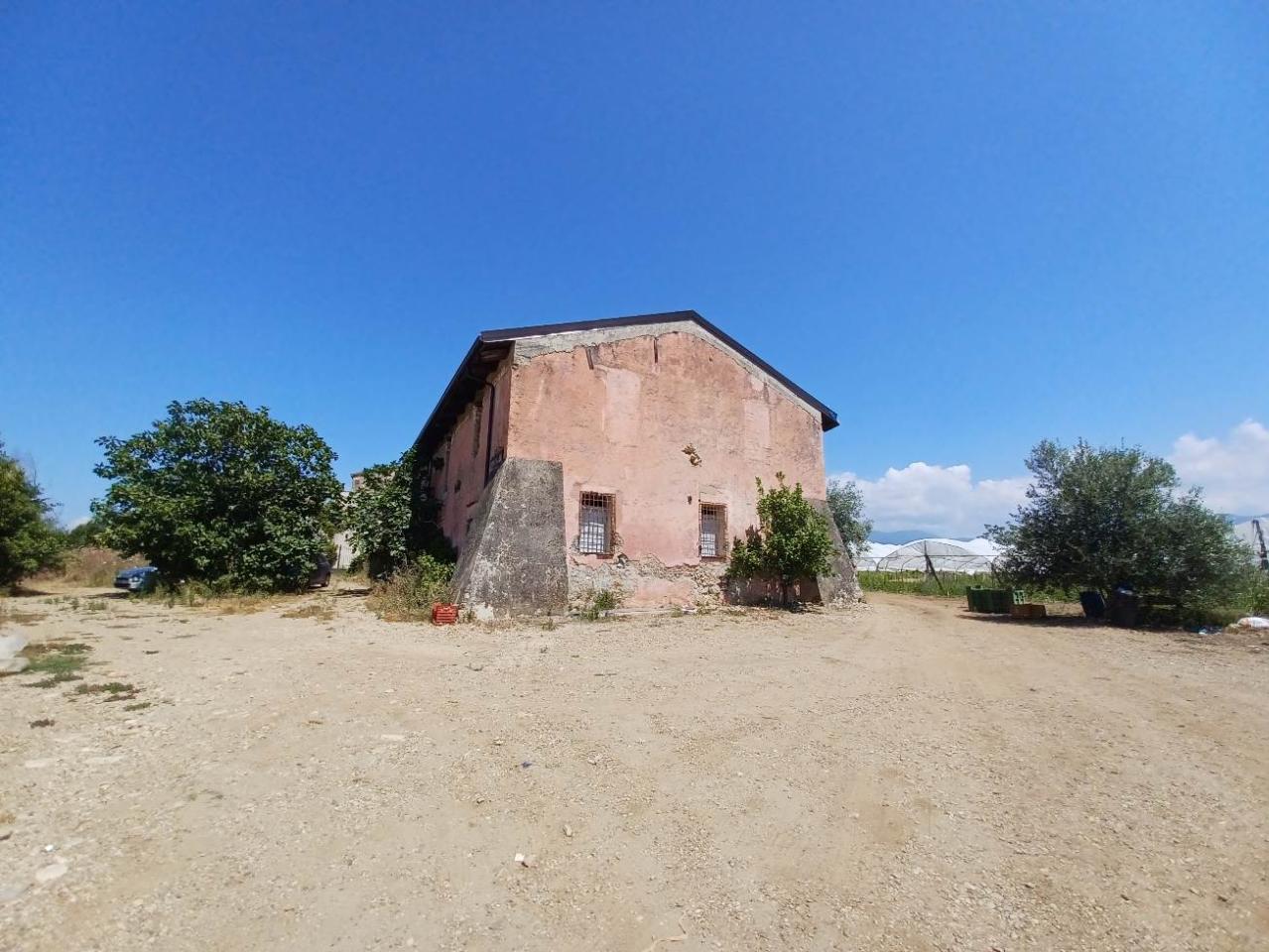 Azienda agricola in Via Antica, Bellizzi, {3} - Foto 2
