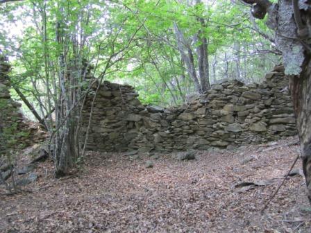 Terreno agricolo, Sassello - Foto 1