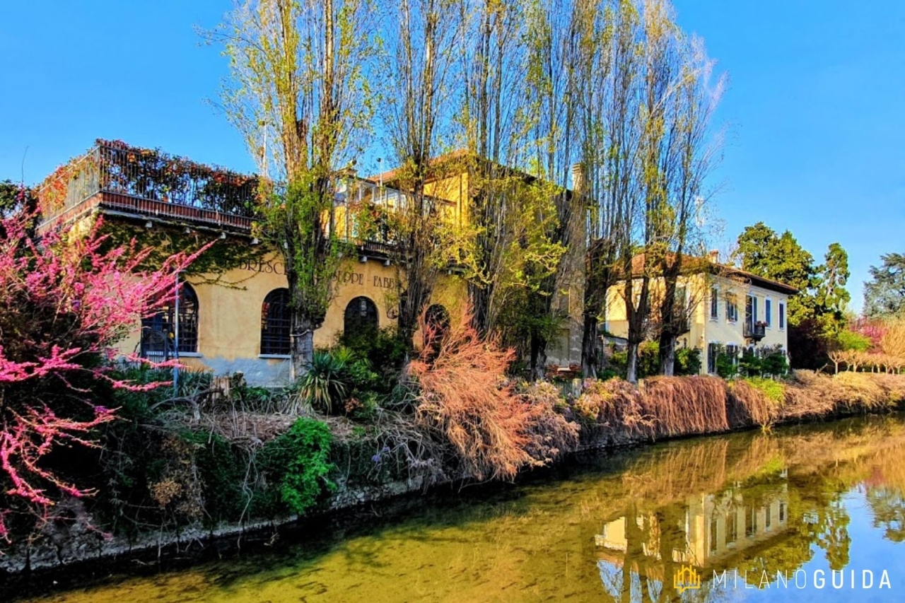 immagine annuncio 5 di 6