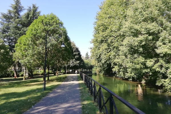 immagine annuncio 1 di 5