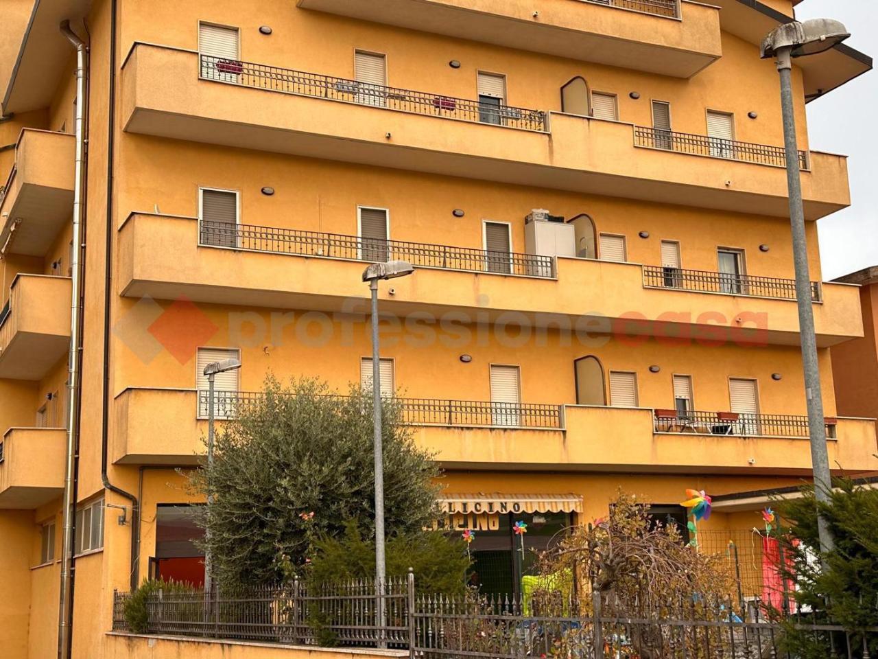 immagine annuncio 10 di 12