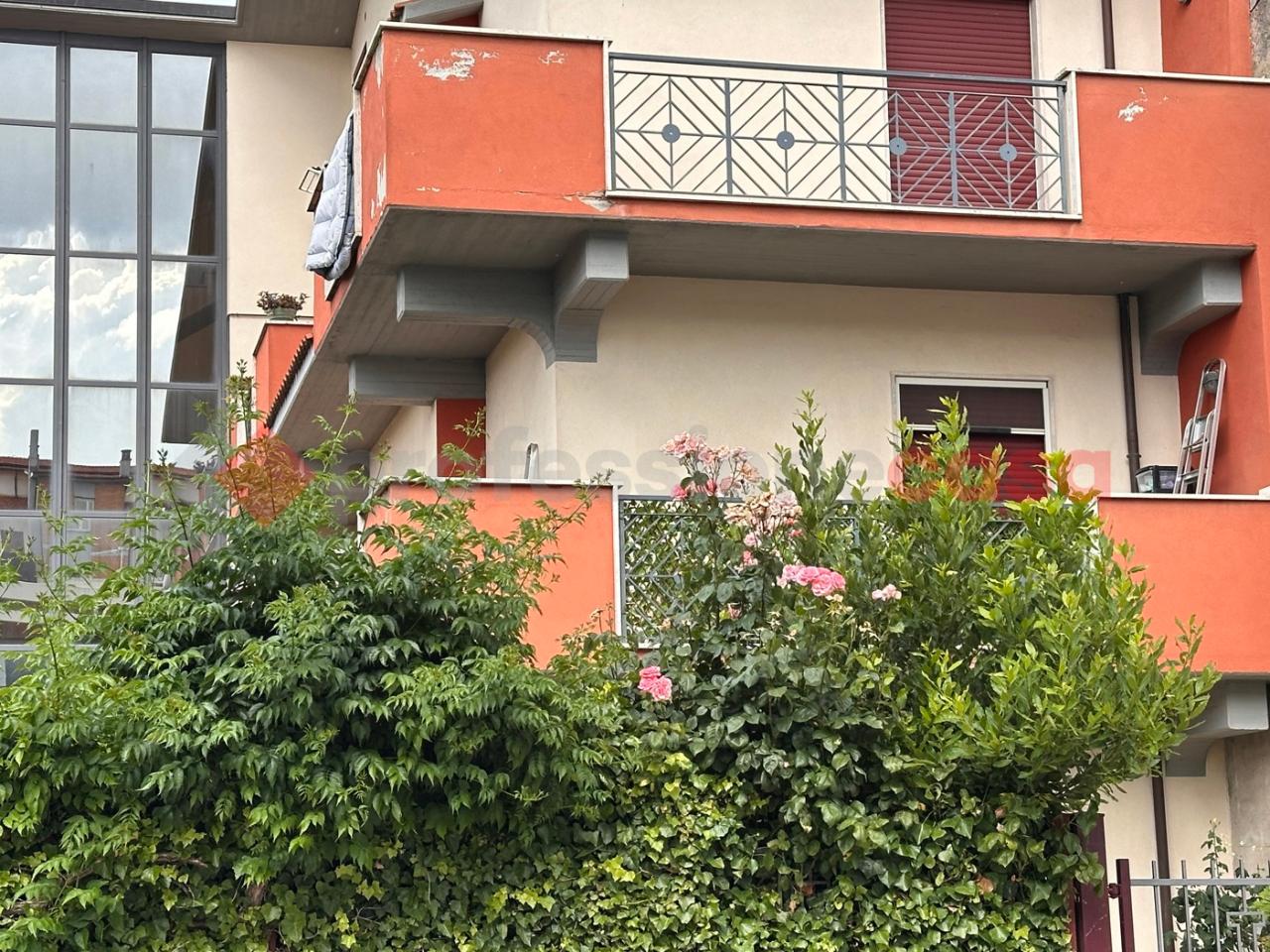 immagine annuncio 11 di 12