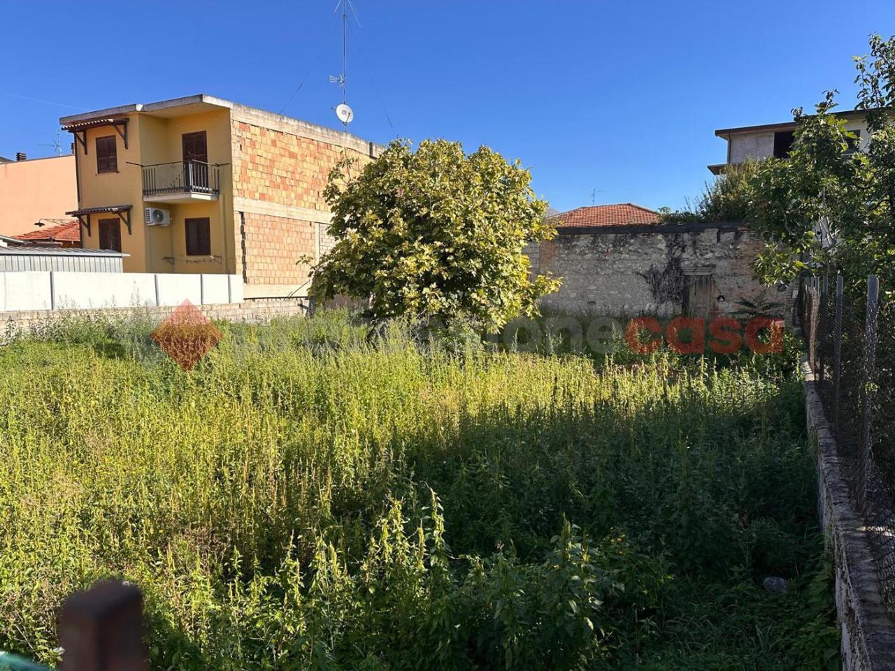 immagine annuncio 4 di 6