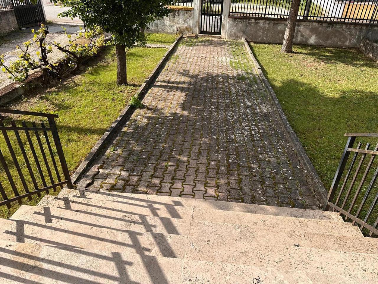 immagine annuncio 3 di 11