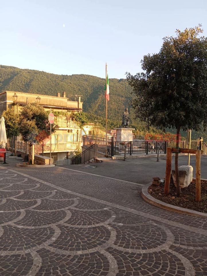 immagine annuncio 11 di 14