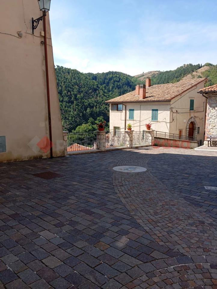 immagine annuncio 5 di 11