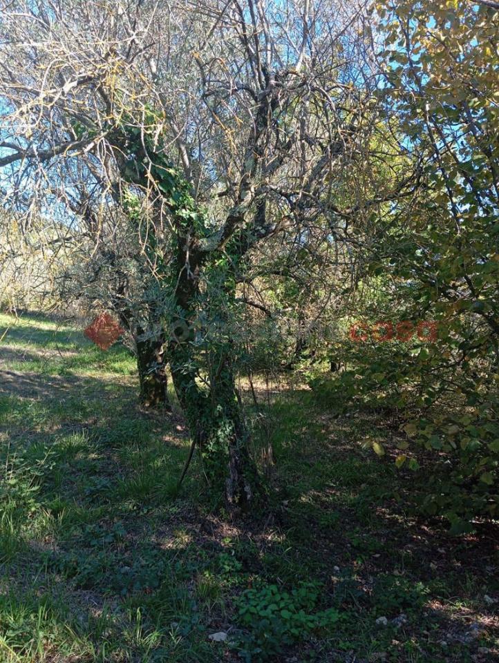 Magazzino in Località Valle Cupa Snc, Cineto Romano, {3} - Foto 2