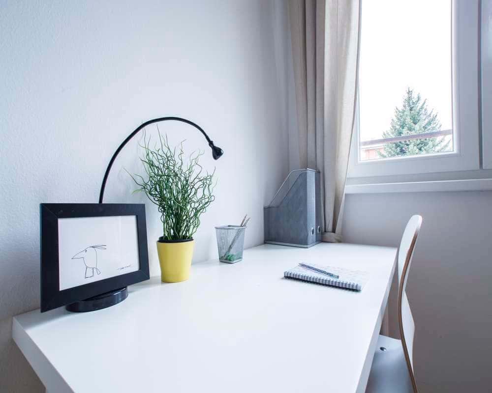 immagine annuncio 5 di 6