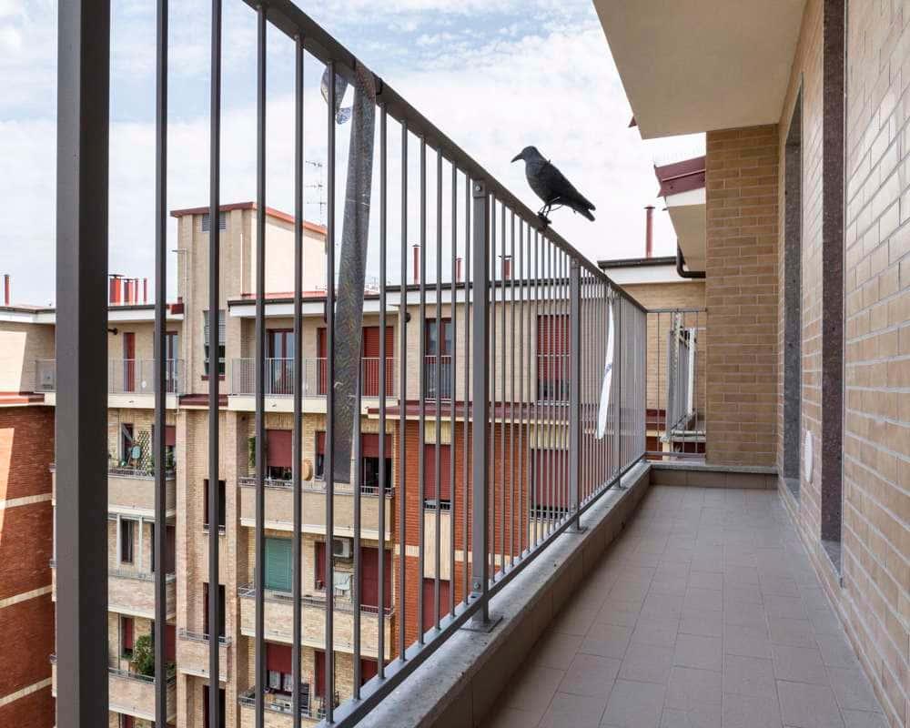 immagine annuncio 4 di 7