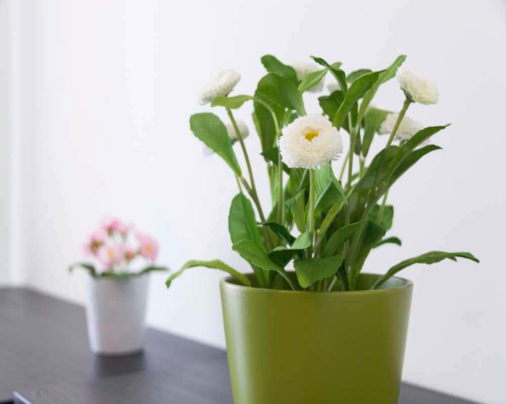 immagine annuncio 6 di 7