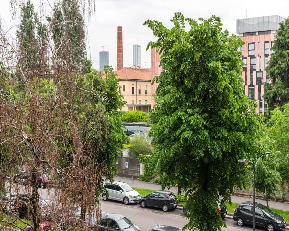 immagine annuncio 3 di 8