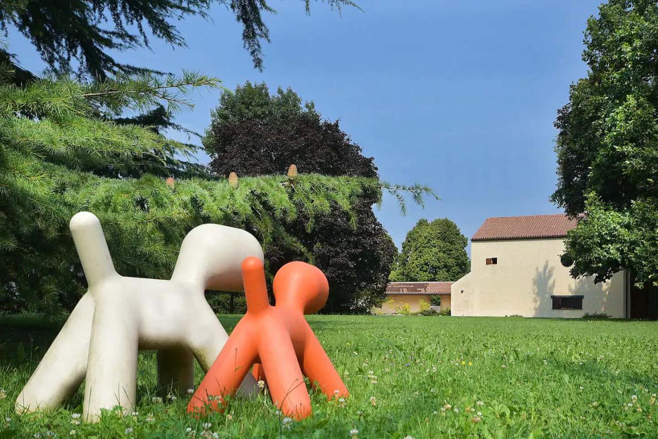 immagine annuncio 9 di 15