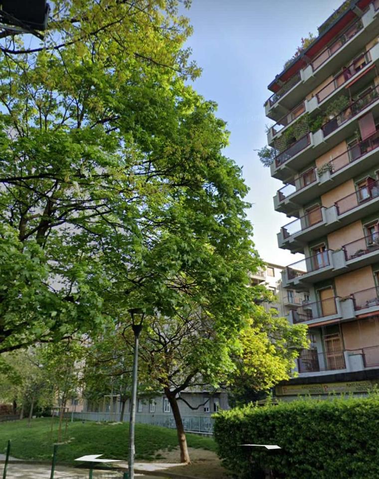 immagine annuncio 6 di 8