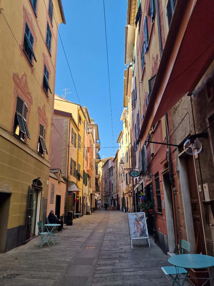 immagine annuncio 11 di 12