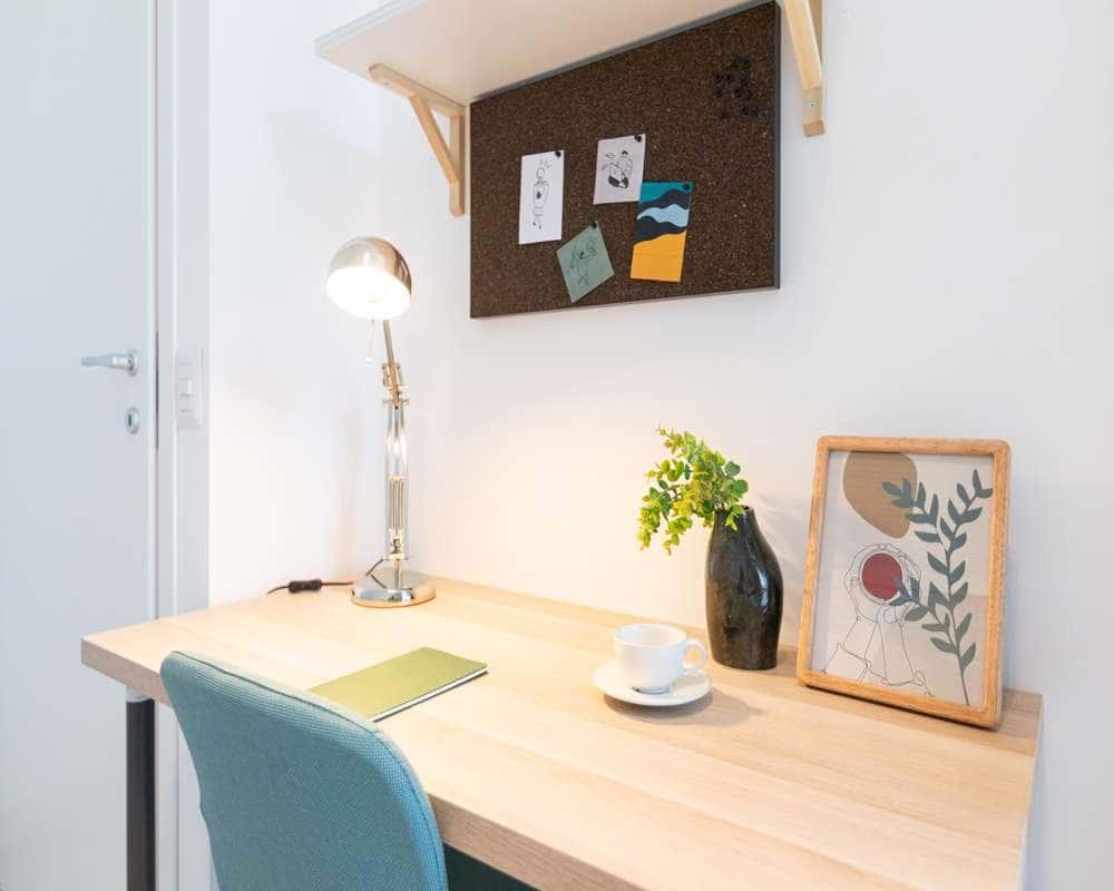 immagine annuncio 12 di 13