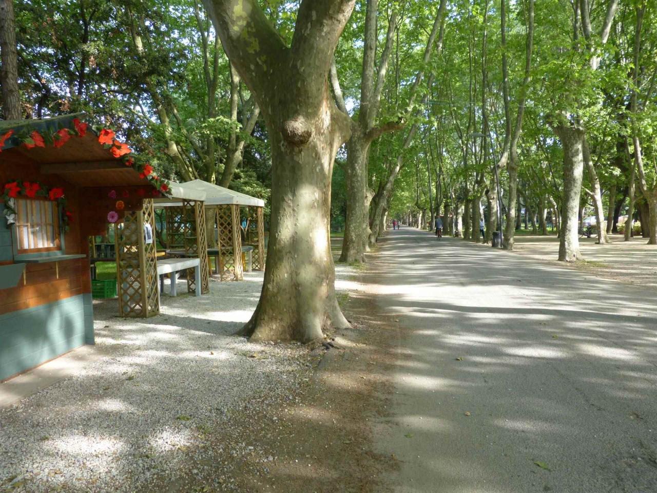 immagine annuncio 3 di 4