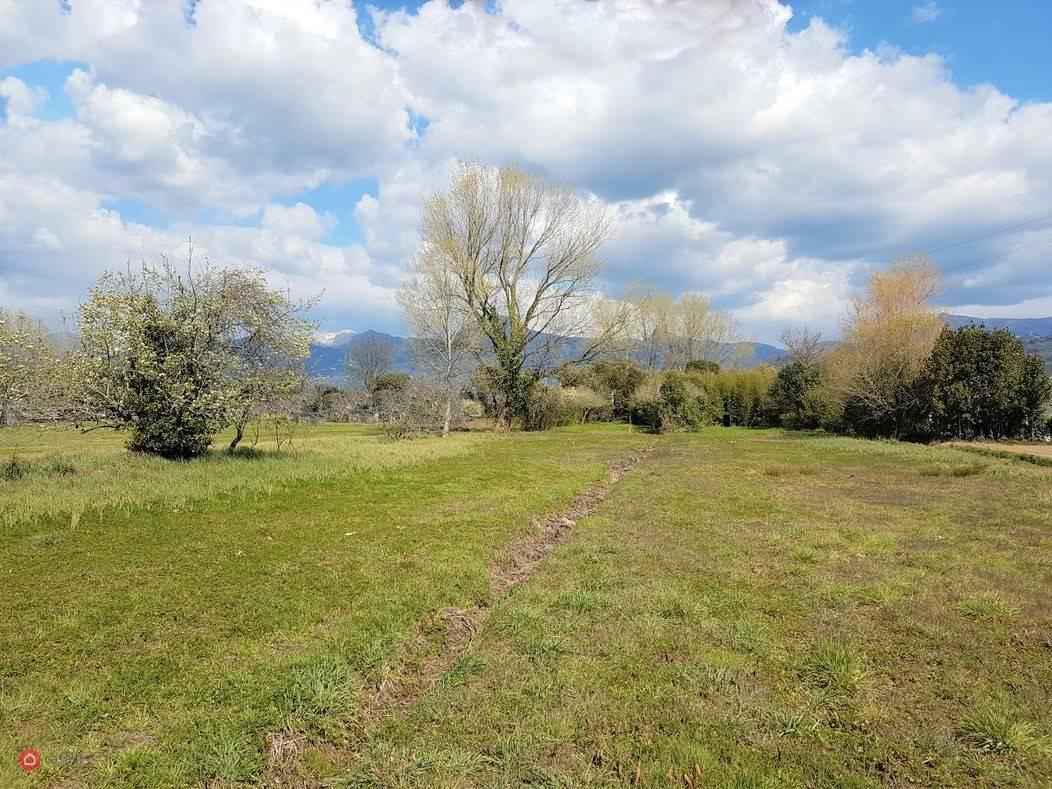 immagine annuncio 2 di 3