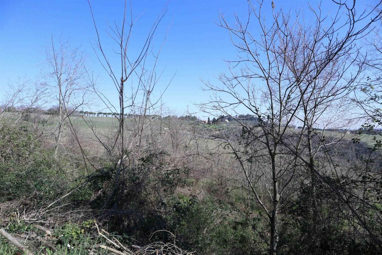 immagine annuncio 3 di 11