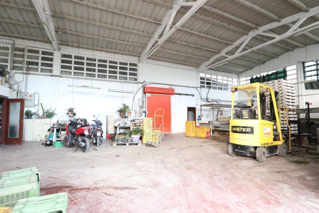 Magazzino in , Savignano Sul Rubicone, {3} - Foto 1
